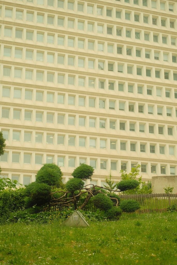 Landscaped garden beside a multi-story building